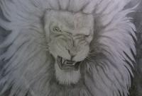Drawings - Lion - Graphite